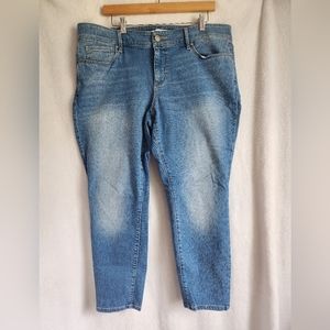 Ann Taylor Loft Size 18 Blue Jeans